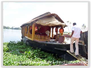  House Boat, Cochin 