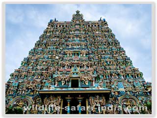 Meenakshi temple, Madurai 