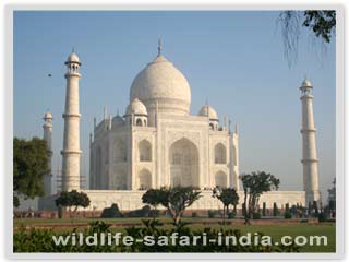 taj mahal, agra