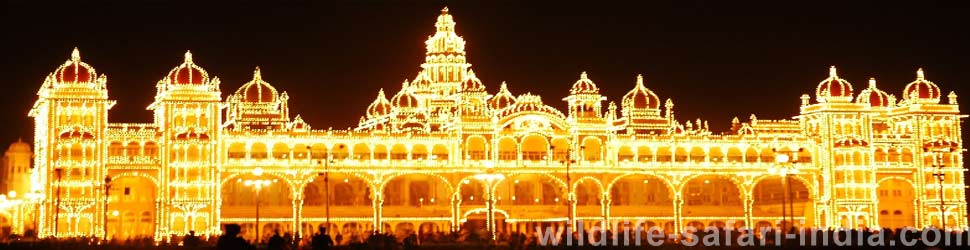Mysore Palace Museum